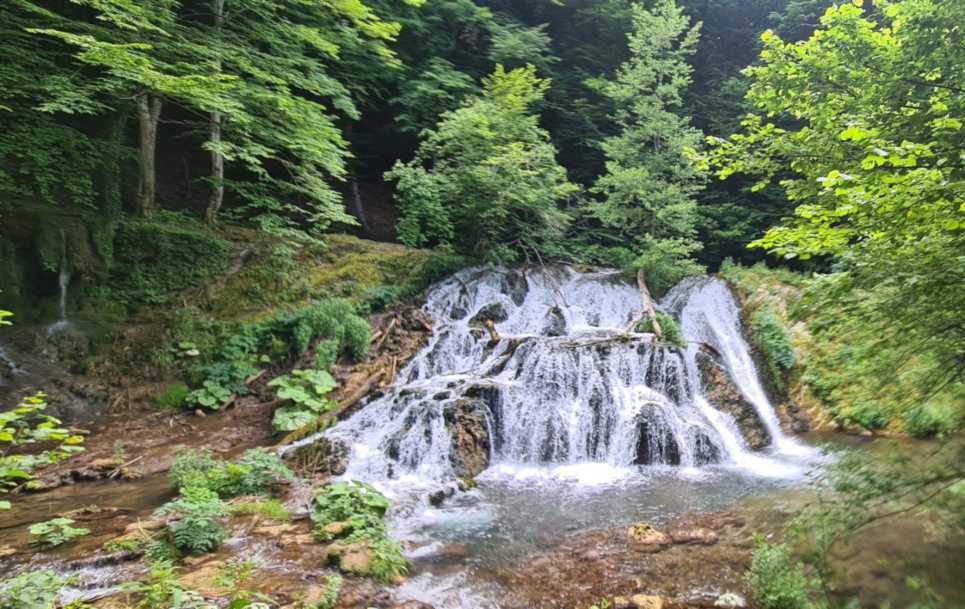  Tagesausflug „Abenteuer Natur“ 